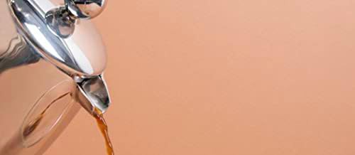 Stainless steel double walled 12 oz french press — photo 4